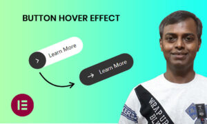 create a beautiful button hover effect in elementor.